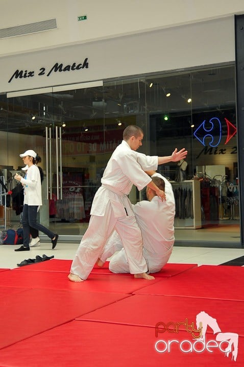 Lecţie de Aikido în Era Park, Era Shopping Park