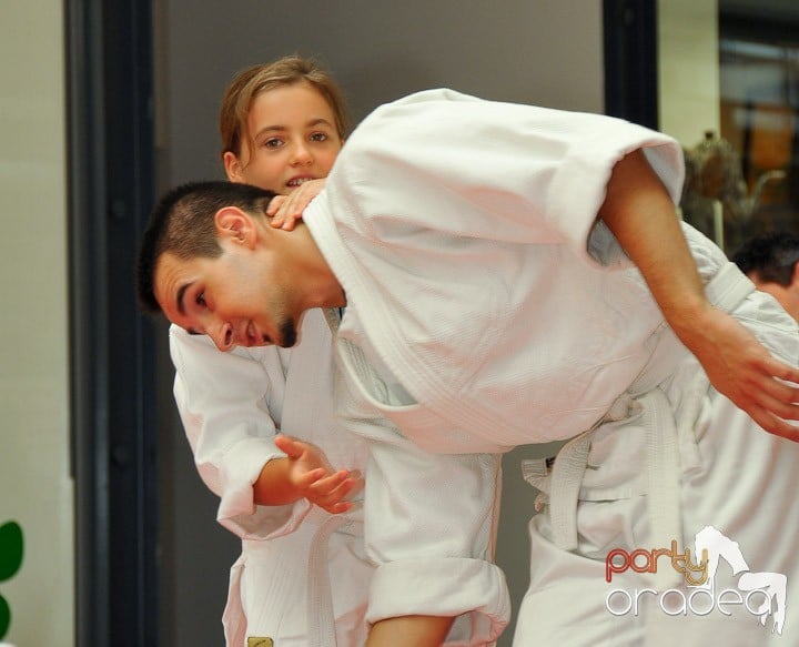 Lecţie de Aikido în Era Park, Era Shopping Park