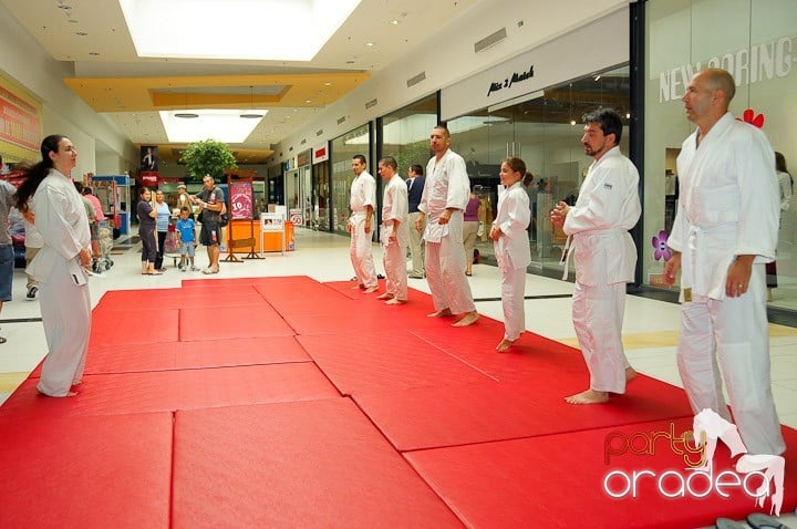 Lecţie de Aikido în Era Park, Era Shopping Park