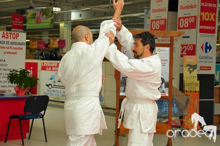 Lecţie de Aikido în Era Park, Era Shopping Park