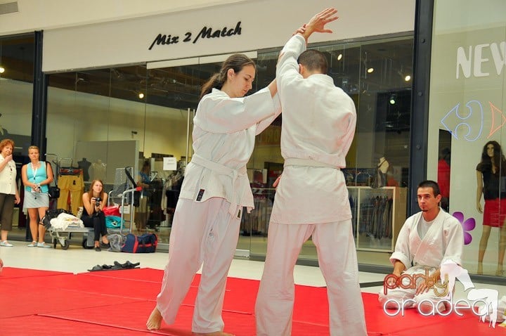 Lecţie de Aikido în Era Park, Era Shopping Park