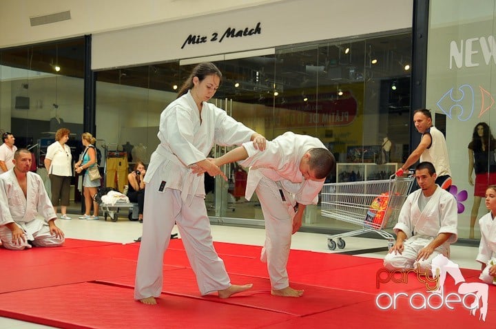 Lecţie de Aikido în Era Park, Era Shopping Park