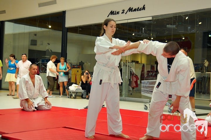 Lecţie de Aikido în Era Park, Era Shopping Park