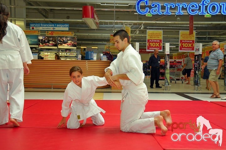 Lecţie de Aikido în Era Park, Era Shopping Park