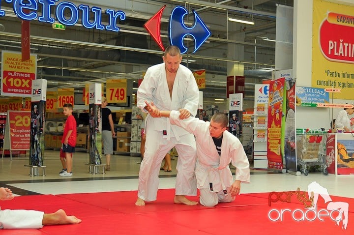 Lecţie de Aikido în Era Park, Era Shopping Park