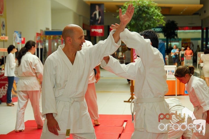 Lecţie de Aikido în Era Park, Era Shopping Park