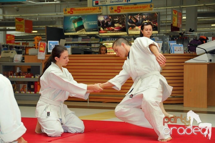 Lecţie de Aikido în Era Park, Era Shopping Park