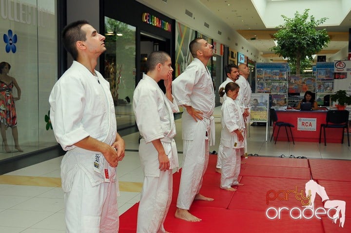 Lecţie de Aikido în Era Park, Era Shopping Park