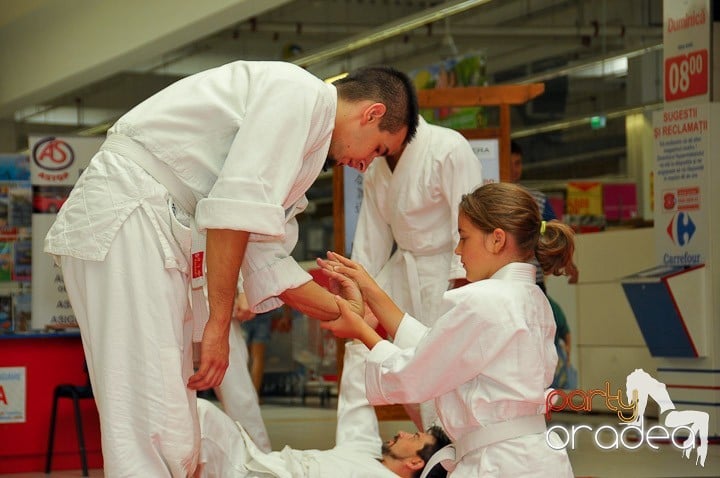 Lecţie de Aikido în Era Park, Era Shopping Park