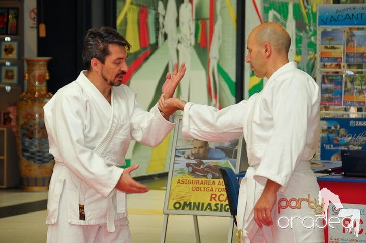 Lecţie de Aikido în Era Park, Era Shopping Park