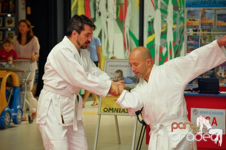 Lecţie de Aikido în Era Park, Era Shopping Park