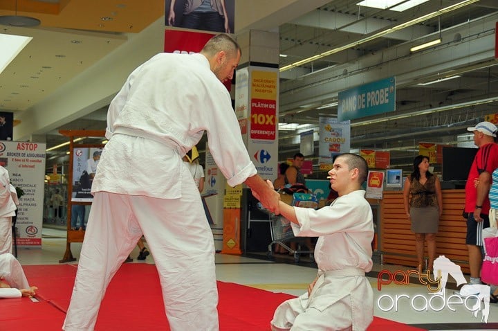 Lecţie de Aikido în Era Park, Era Shopping Park