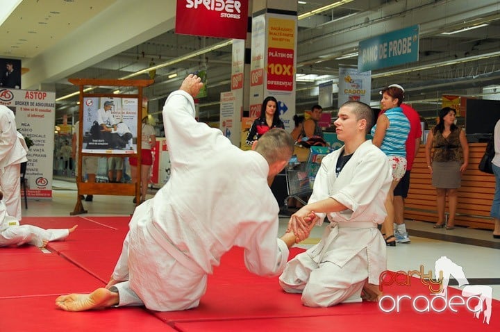 Lecţie de Aikido în Era Park, Era Shopping Park