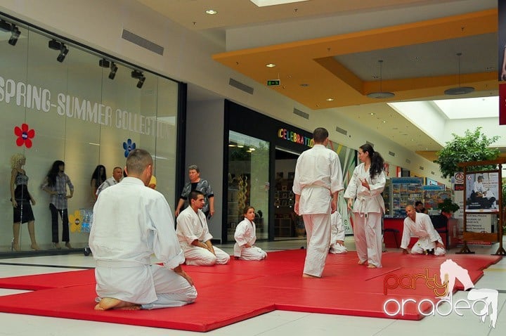 Lecţie de Aikido în Era Park, Era Shopping Park