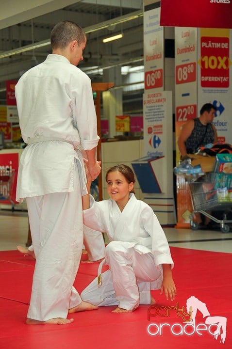 Lecţie de Aikido în Era Park, Era Shopping Park