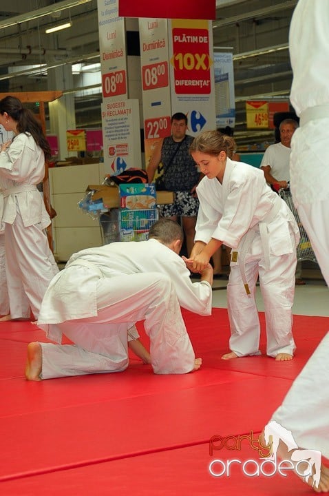 Lecţie de Aikido în Era Park, Era Shopping Park