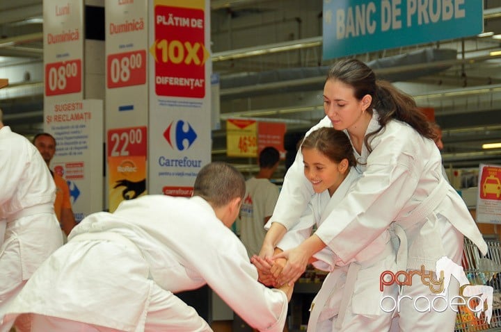 Lecţie de Aikido în Era Park, Era Shopping Park