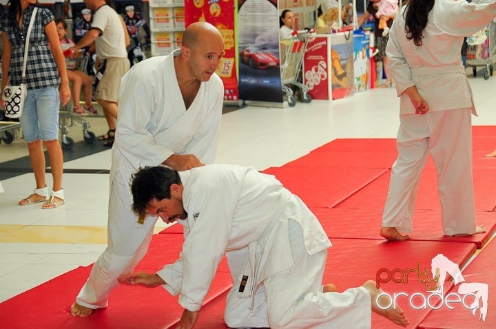 Lecţie de Aikido în Era Park, Era Shopping Park