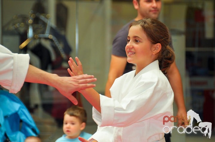 Lecţie de Aikido în Era Park, Era Shopping Park