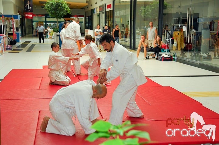 Lecţie de Aikido în Era Park, Era Shopping Park