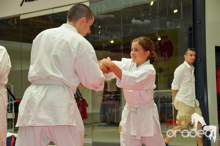 Lecţie de Aikido în Era Park, Era Shopping Park