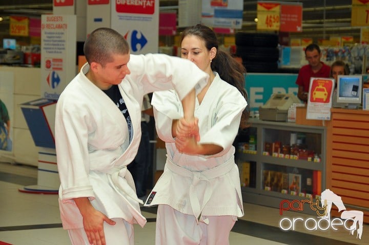 Lecţie de Aikido în Era Park, Era Shopping Park