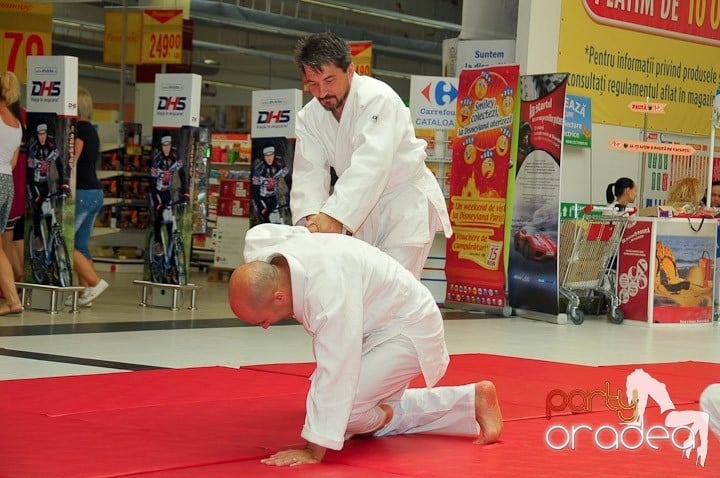 Lecţie de Aikido în Era Park, Era Shopping Park