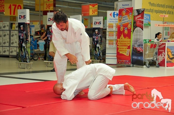 Lecţie de Aikido în Era Park, Era Shopping Park