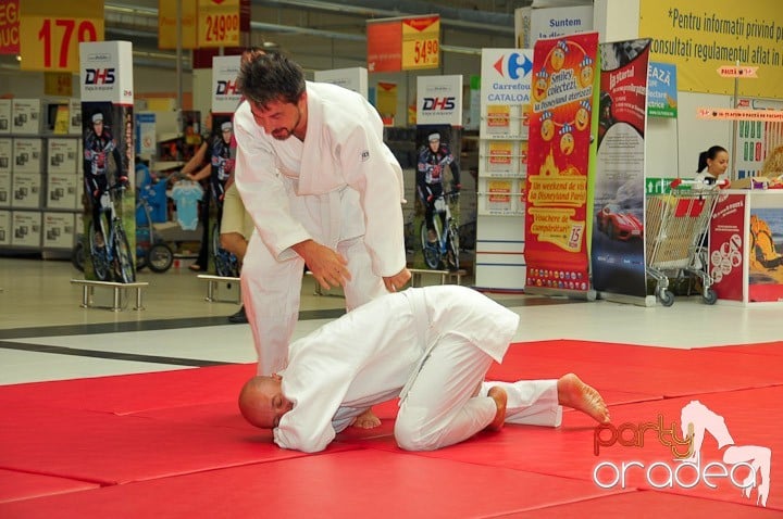 Lecţie de Aikido în Era Park, Era Shopping Park