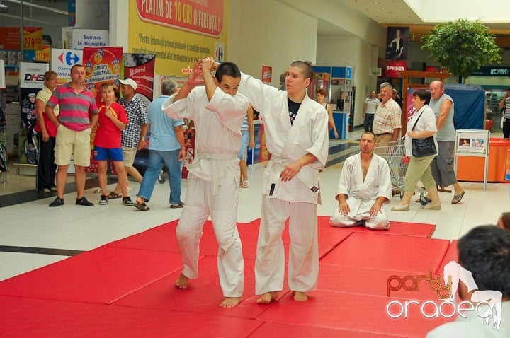 Lecţie de Aikido în Era Park, Era Shopping Park