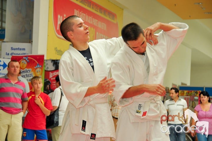 Lecţie de Aikido în Era Park, Era Shopping Park