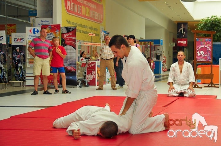 Lecţie de Aikido în Era Park, Era Shopping Park