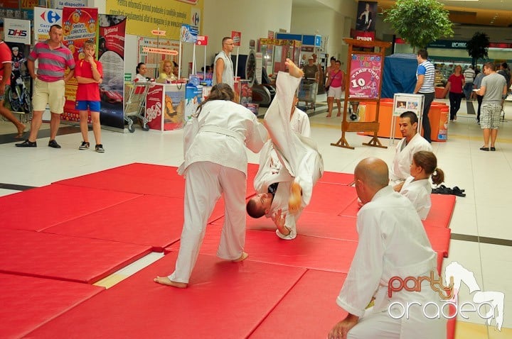 Lecţie de Aikido în Era Park, Era Shopping Park