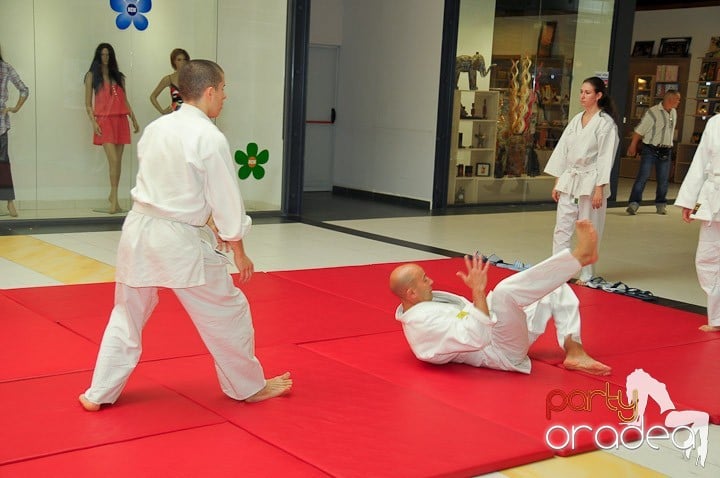 Lecţie de Aikido în Era Park, Era Shopping Park