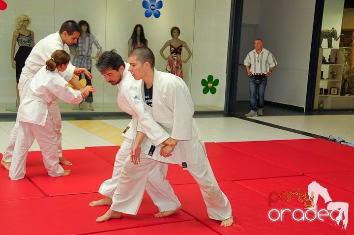 Lecţie de Aikido în Era Park, Era Shopping Park