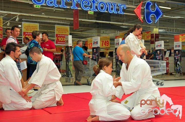 Lecţie de Aikido în Era Park, Era Shopping Park