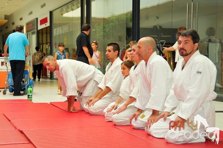 Lecţie de Aikido în Era Park, Era Shopping Park