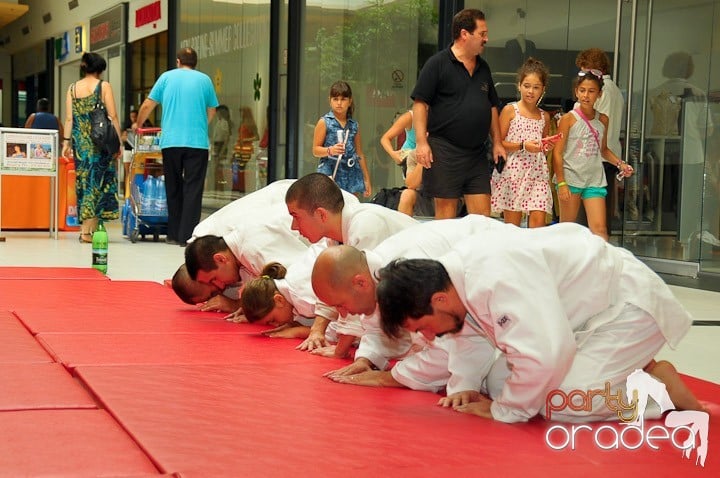 Lecţie de Aikido în Era Park, Era Shopping Park