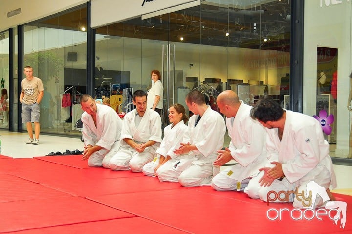 Lecţie de Aikido în Era Park, Era Shopping Park