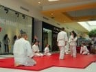 Lecţie de Aikido în Era Park