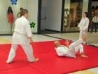 Lecţie de Aikido în Era Park