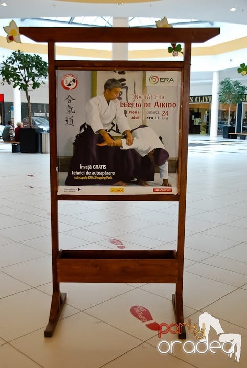 Lecţie de Aikido în Era Shopping Park, Era Shopping Park