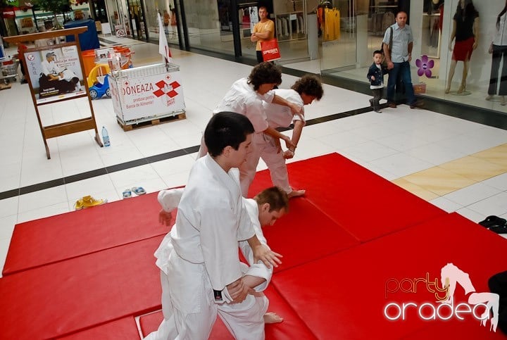 Lecţie de Aikido în Era Shopping Park, Era Shopping Park