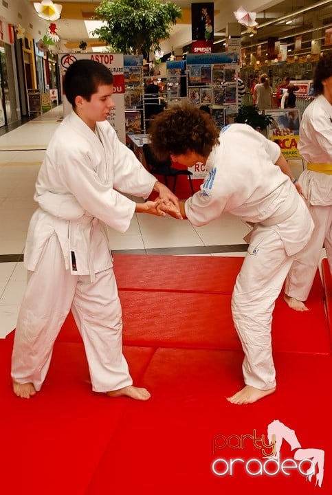 Lecţie de Aikido în Era Shopping Park, Era Shopping Park