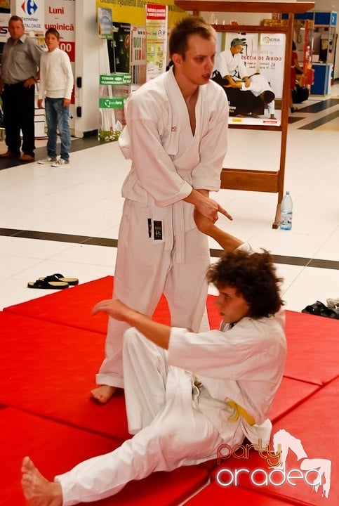 Lecţie de Aikido în Era Shopping Park, Era Shopping Park