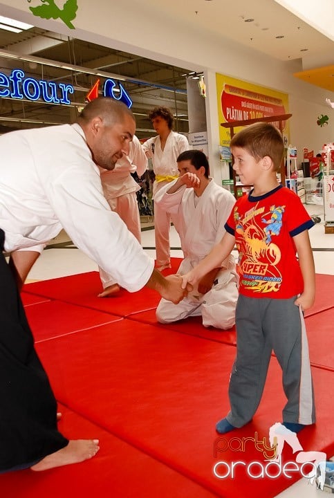 Lecţie de Aikido în Era Shopping Park, Era Shopping Park