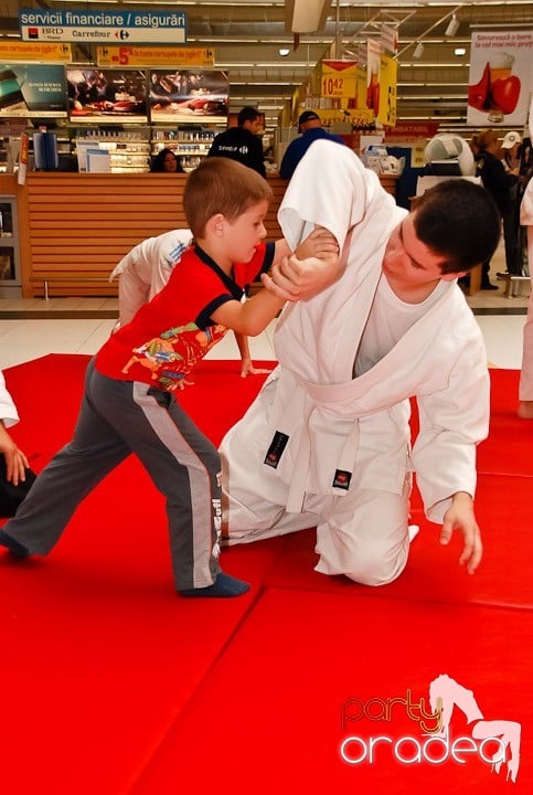 Lecţie de Aikido în Era Shopping Park, Era Shopping Park