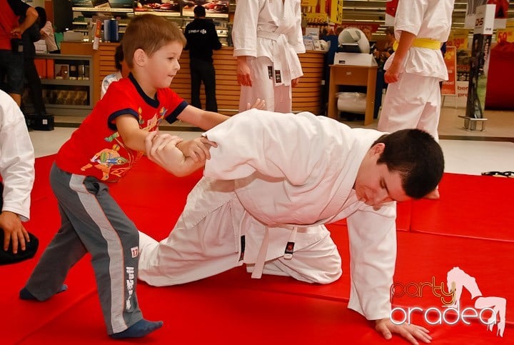 Lecţie de Aikido în Era Shopping Park, Era Shopping Park