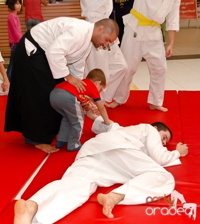 Lecţie de Aikido în Era Shopping Park, Era Shopping Park