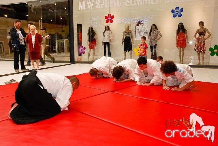 Lecţie de Aikido în Era Shopping Park, Era Shopping Park